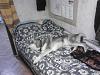     
: IMG_20140111_080726.jpg
: 719
:	91.3 
ID:	10657