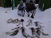     
: 2014-01-25 17.56.45j,htp.jpg
: 456
:	83.0 
ID:	11031