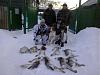     
: 2014-01-25 17.58.37.jpg
: 478
:	84.7 
ID:	11032