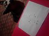     
: IMG_20140811_235507.jpg
: 821
:	92.1 
ID:	13598