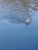     
: IMG_20140715_194205.jpg
: 559
:	77.6 
ID:	13656