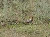    
: IMG_0124.jpg
: 268
:	98.6 
ID:	13740