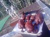     
: IMG_20140824_141405.jpg
: 1065
:	96.3 
ID:	13757