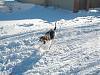     
: DSCN6897.jpg
: 745
:	96.1 
ID:	15432