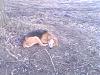     
: 301114-1141.jpg
: 1056
:	30.7 
ID:	15508
