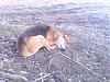     
: 301114-1142.jpg
: 1072
:	32.0 
ID:	15509