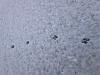     
: DSC_0002.jpg
: 664
:	91.3 
ID:	15523