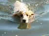     
: x_cee573f5.jpg
: 411
:	75.9 
ID:	1818