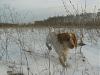     
: x_689c9514.jpg
: 396
:	82.3 
ID:	1819