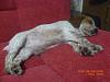    
: x_4d9a2b83.jpg
: 391
:	79.5 
ID:	1821