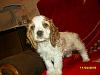     
: O-T3W5hTEWI.jpg
: 473
:	88.1 
ID:	18436