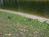     
: P9031487.jpg
: 517
:	97.3 
ID:	19903