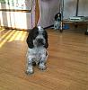     
: P_20150917_152824_1.jpg
: 722
:	95.2 
ID:	20550