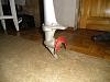     
: CIMG0835.jpg
: 599
:	90.4 
ID:	21795