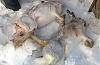     
: WP_20151128_12_49_46_Pro.jpg
: 548
:	60.1 
ID:	21972