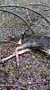     
: IMG_20151224_135015.jpg
: 1184
:	103.2 
ID:	22496