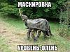     
: pkN52F55jv8.jpg
: 810
:	69.1 
ID:	22502
