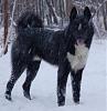     
: DSC_1408.JPG
: 582
:	47.2 
ID:	22755