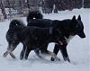     
: DSC_1433.JPG
: 496
:	52.0 
ID:	22756