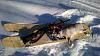     
: WP_20160116_13_55_43_Pro.jpg
: 1527
:	96.8 
ID:	22988