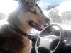     
: IMG_20140706_181415.jpg
: 476
:	91.0 
ID:	23052