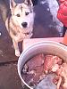     
: IMG_20150314_172625.jpg
: 493
:	84.4 
ID:	23055