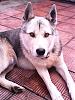     
: IMG_20150521_131417.jpg
: 426
:	89.1 
ID:	23056