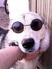     
: IMG_20150523_093026.jpg
: 531
:	85.7 
ID:	23057