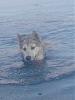     
: IMG_20140715_193953.jpg
: 595
:	70.1 
ID:	23063