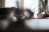     
: IMG_6480.jpg
: 2292
:	95.2 
ID:	23076