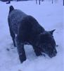     
: DSC05034.JPG
: 432
:	34.9 
ID:	23643