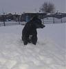     
: DSC05036.JPG
: 485
:	43.2 
ID:	23644