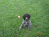     
: DSC03929_.jpg
: 550
:	63.1 
ID:	240