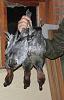     
: SDC10050 - .jpg
: 405
:	80.7 
ID:	2574