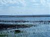     
: IMG_20160415_135000.jpg
: 647
:	85.3 
ID:	25767