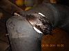     
: DSCN0634.jpg
: 765
:	91.4 
ID:	2655