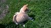     
: WP_20160611_13_38_57_Pro.jpg
: 563
:	103.9 
ID:	26682