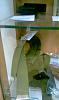     
: IMAG1536.jpg
: 2346
:	92.1 
ID:	3102