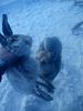     
: IMG_20170204_140333.jpg
: 680
:	74.9 
ID:	31153