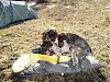     
: P4110959.jpg
: 504
:	98.5 
ID:	315