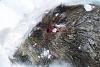     
: SDC10080.jpg
: 1207
:	98.8 
ID:	3480