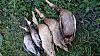     
: 20170821_170136.jpg
: 542
:	105.1 
ID:	35771