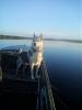     
: IMG_20170915_070406.jpg
: 649
:	73.8 
ID:	36365