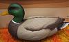     
: DSCF2634.jpg
: 353
:	91.1 
ID:	3651