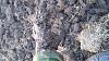     
: 20170407_192156.jpg
: 812
:	105.3 
ID:	41261