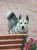     
: IMG-2973b2828ed7de2dac6c6669ea281b4e-V.jpg
: 719
:	90.2 
ID:	41711