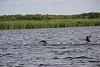     
: IMG-30eb4473f7cb4067650edaa6a8db29f9-V.jpg
: 684
:	89.1 
ID:	42638