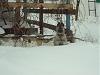     
: DSC02998.jpg
: 728
:	89.4 
ID:	4338