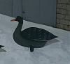     
: P_20190203_130216_1_1.jpg
: 470
:	61.2 
ID:	45922
