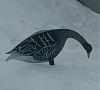     
: P_20190203_130129_2_1.jpg
: 366
:	92.8 
ID:	45924